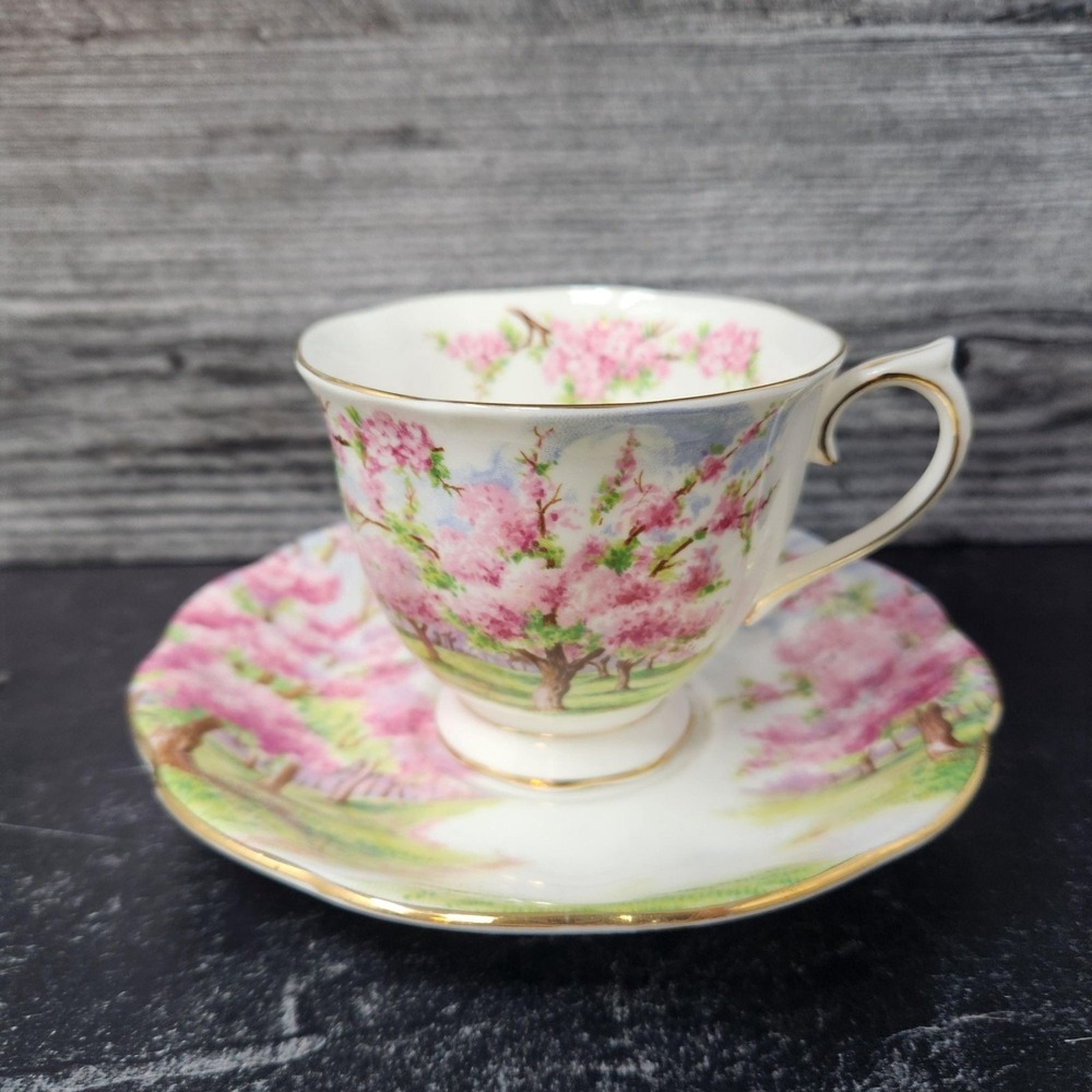 Vintage Footed Cup & Saucer Set Blossom Time by Royal Albert Collectible Tea Set